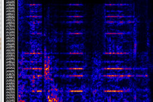 Actv8 youtube video embed nuhf signal